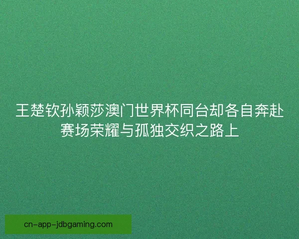 王楚钦孙颖莎澳门世界杯同台却各自奔赴赛场荣耀与孤独交织之路上